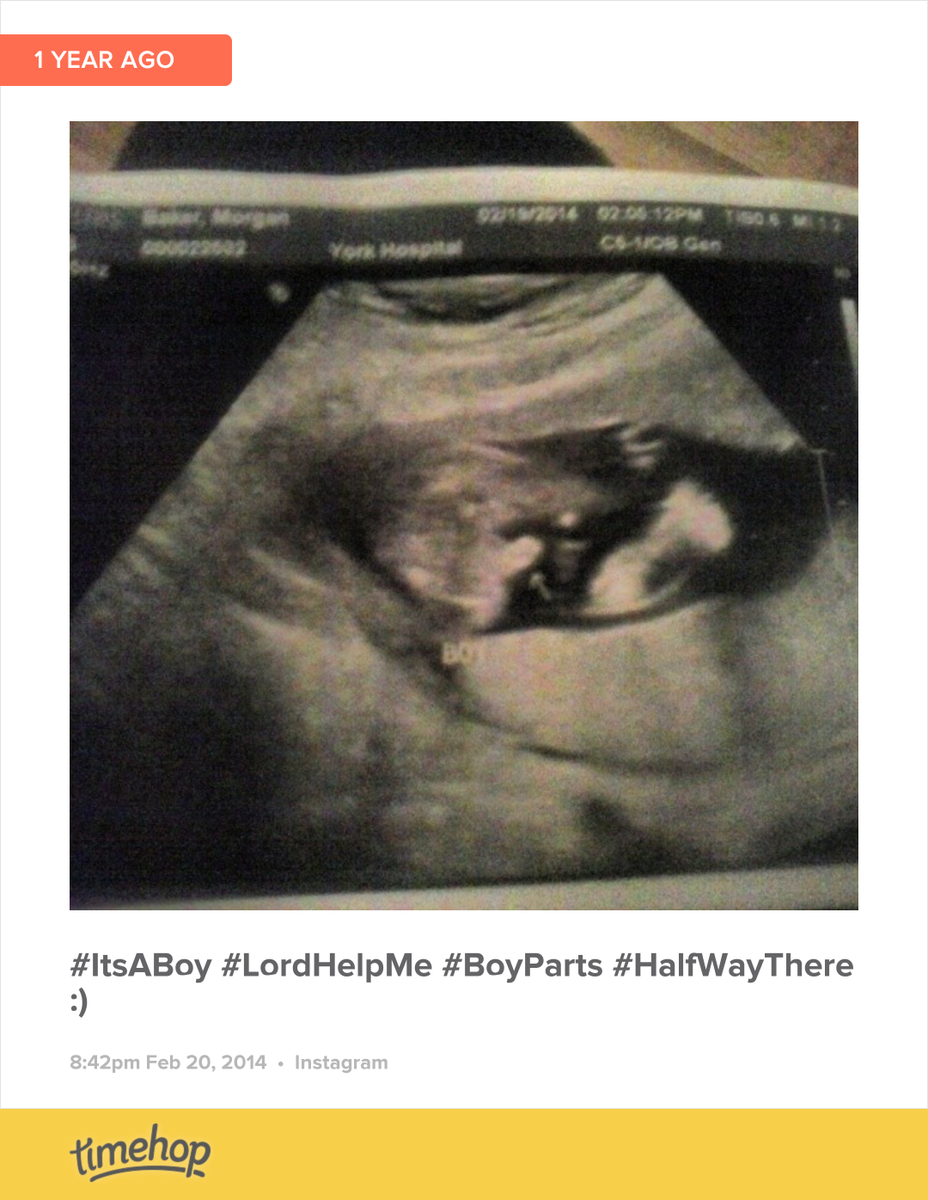 mobakes's tweet image. my baby! t.imehop.com/1AeaSx8