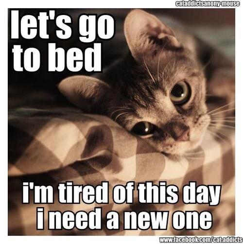 emjmackay's tweet photo. Current mood 😴 http://t.co/wpTvf3P344