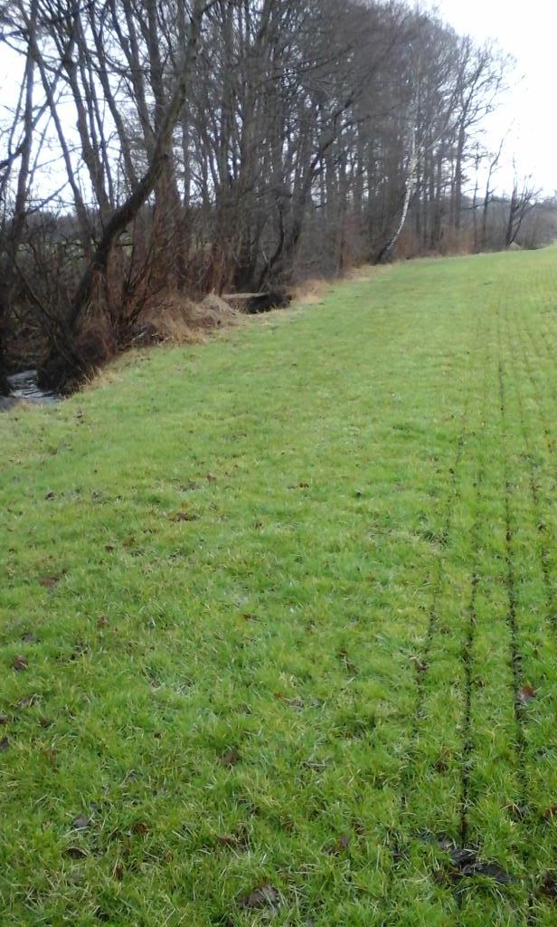 Koopman_niek's tweet photo. 5 meter langs de beek mag niet bemest worden 1 van de vele beperkingen zonder vergoeding. http://t.co/K4shyAvKQu