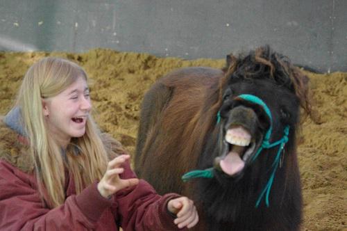 Al ruim 1500 stemmen uitgebracht op de VD Challenge. Heb jij al gestemd?
equiday.nl/2015/vrijheids…