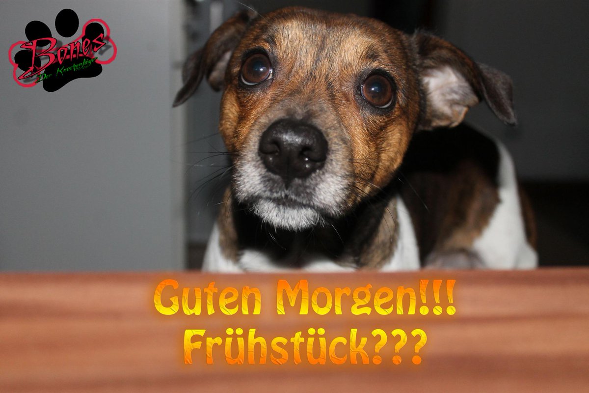 Blicke sagen mehr als tausend Worte!!! ;)