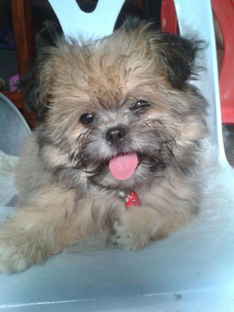 <a href="/wimonrat33/">เด็กชายถุงเงิน</a>