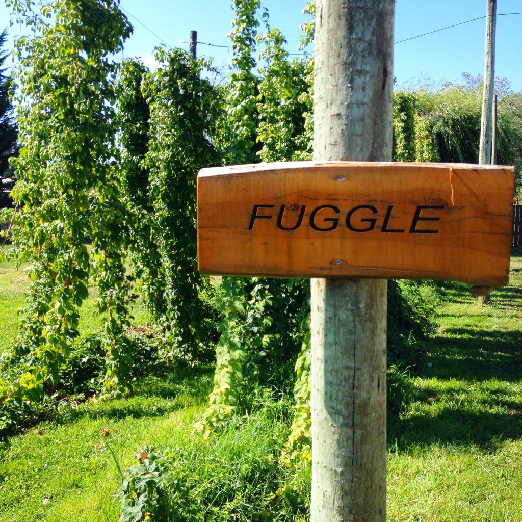 @SEVENSHEDS such a quirky little place! The beer was really good, we bought some! Thanks for the tip <a href="/winsordobbin/">Winsor Dobbin</a> :)