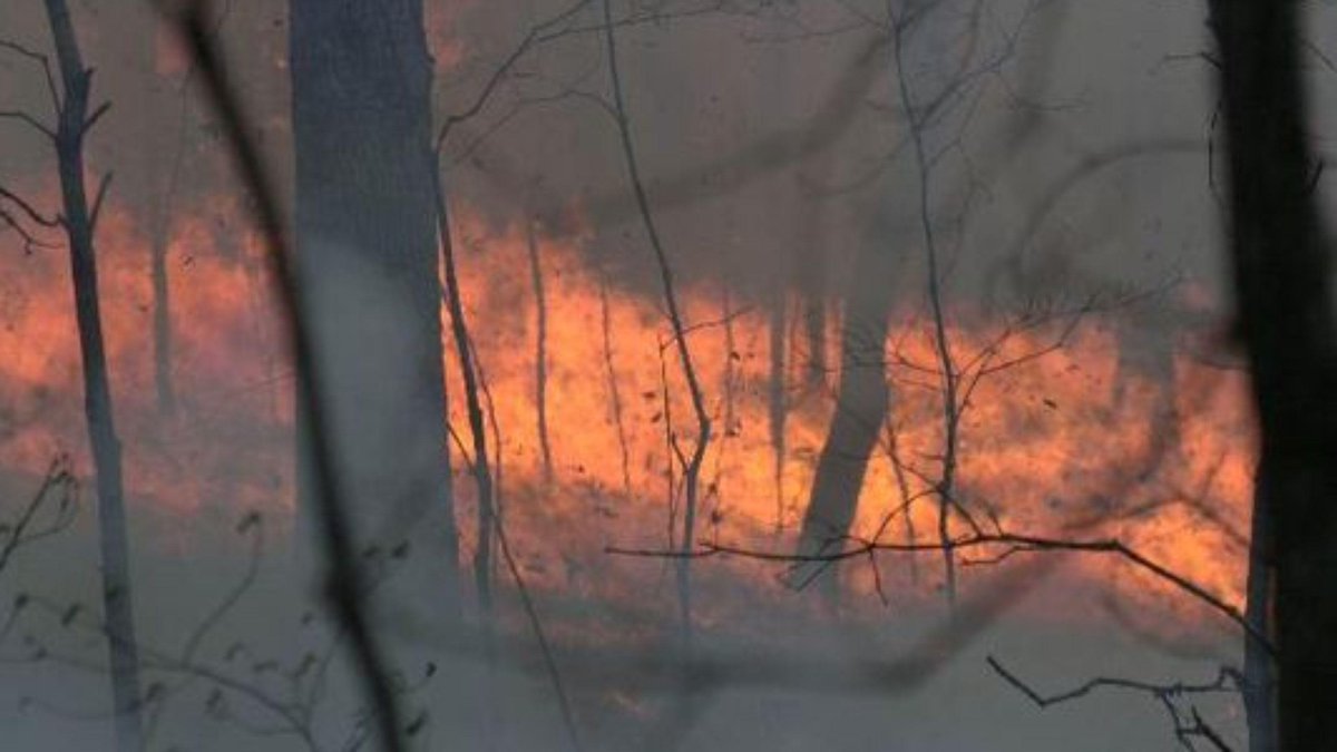 WildFire_Ops's tweet image. #Wildfire Wildfire in Milton destroys home, barn - Pensacola News Journal dlvr.it/8fwMt7 #WildFireOps