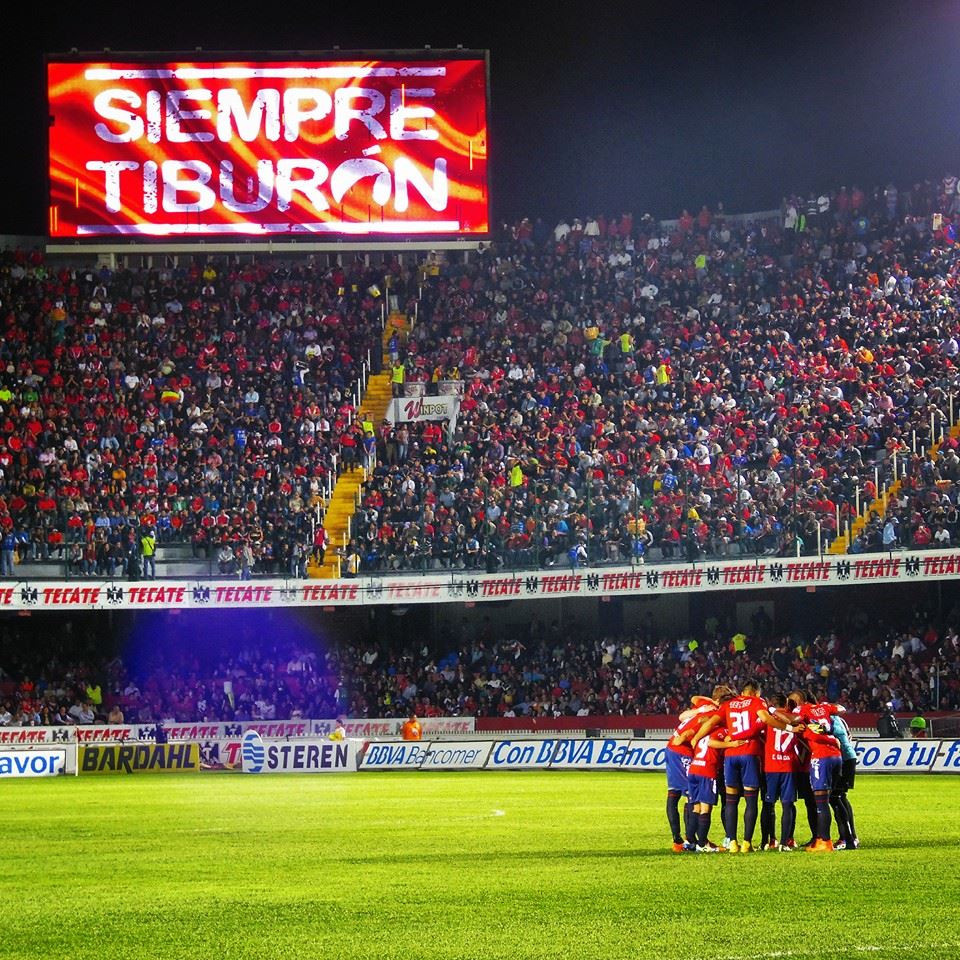 NotiTibu's tweet photo. #SiempreTiburón #ElTibuNoSeVa http://t.co/rq0Z4ebuIM