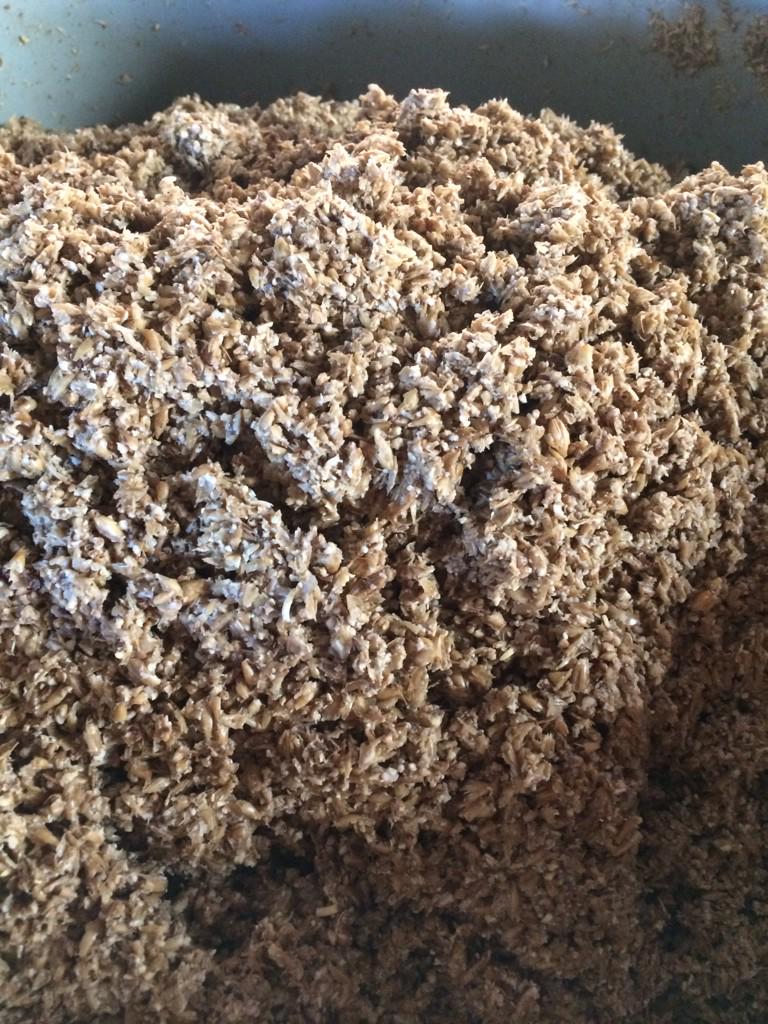 Mash day today #nofilterneeded  cows up the road will get the leftover grist