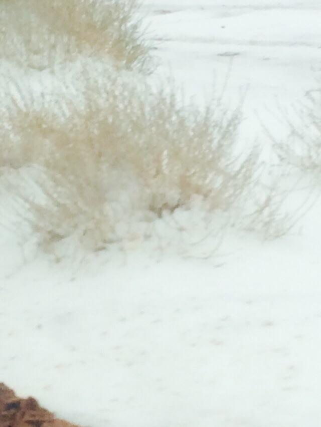 B-X2MewCUAAvhd3.jpg (599×798)