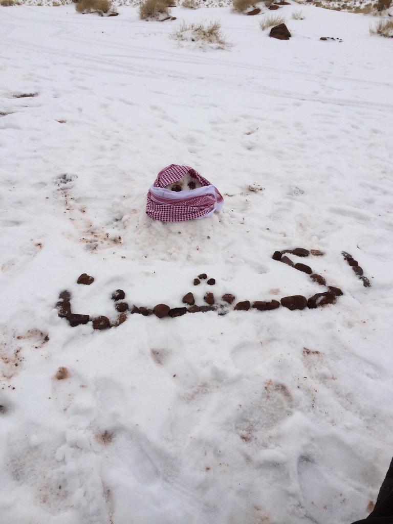 B-X2MrHCYAAq7rr.jpg (600×800)