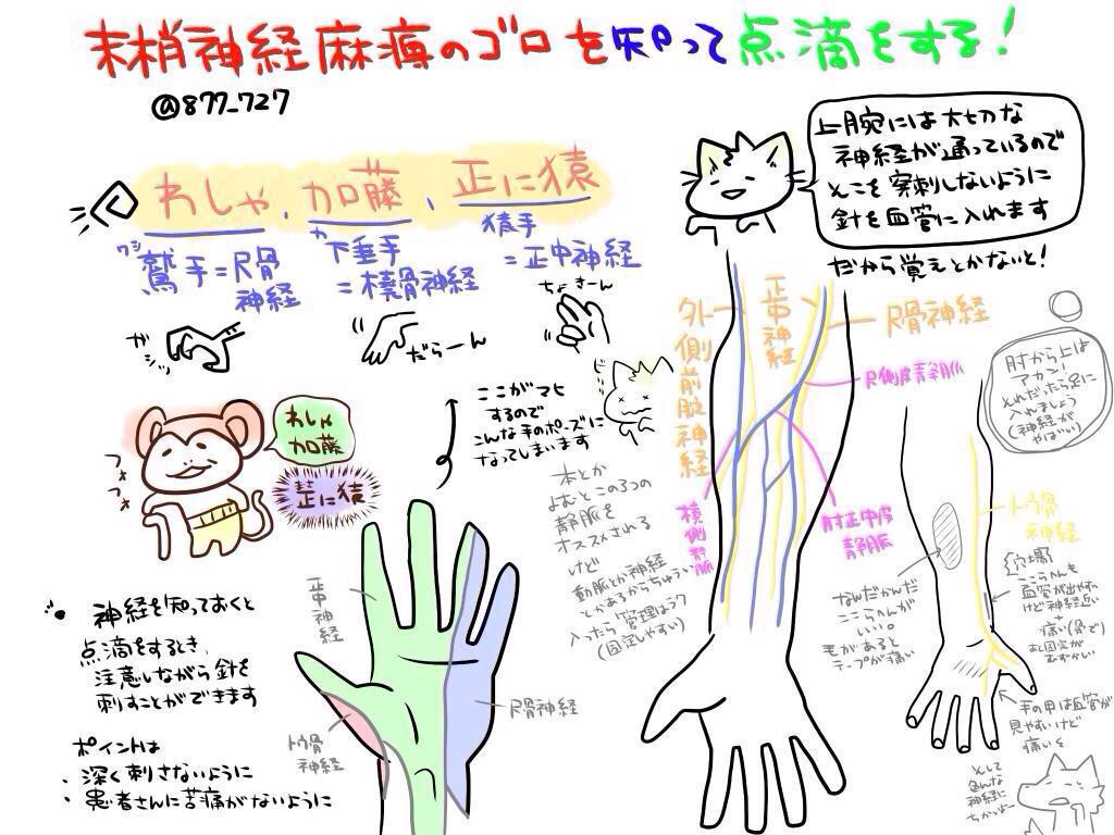 異端なる看護師のかげさん(セイレム産 on Twitter 