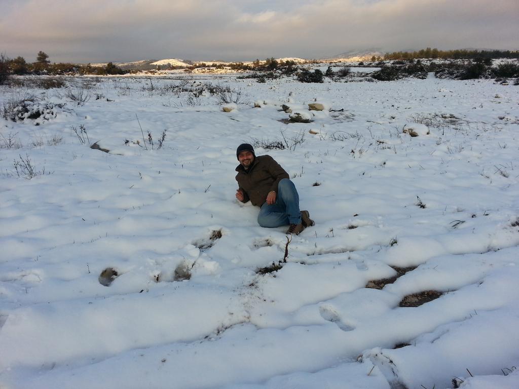 EngOsb's tweet image. 