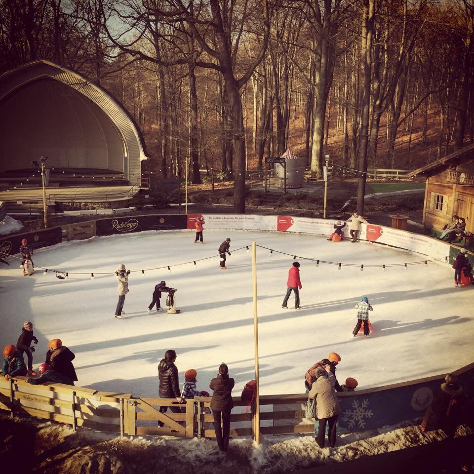 Konzertplatz's tweet photo. Nur noch heute und morgen #Eisbahn #schönwars #Dresden #schlittschuhspass #natur http://t.co/tWsmK4tJbG
