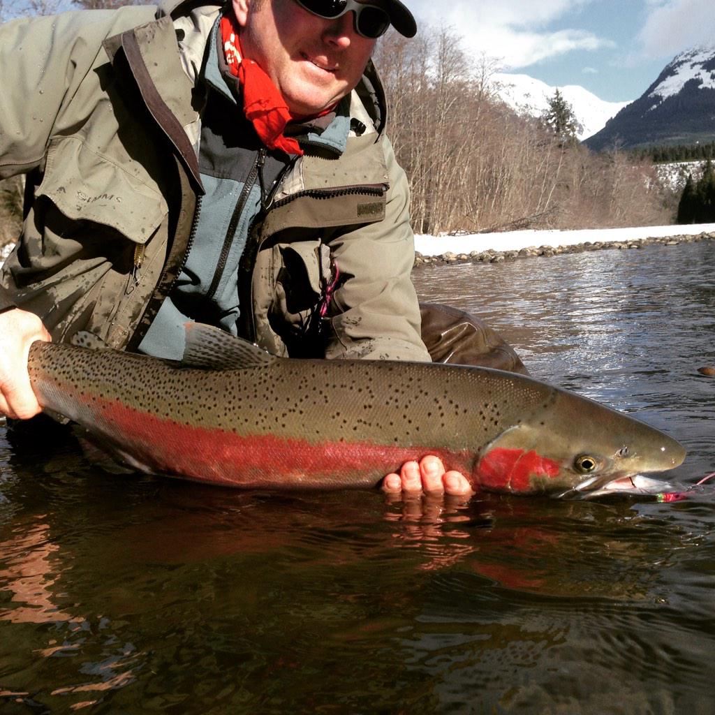 kitimatlodge tweet media