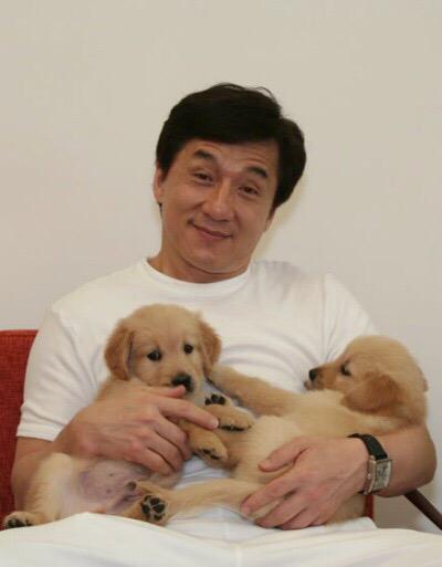 taryneosh's tweet photo. “@SincerelyTumblr: Jackie Chan &amp; his dogs. 😍🐶 http://t.co/sCP1paR6GY” @aclanc