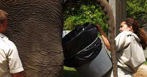 MediaJacker's tweet image. What's your worst secret in the workplace? Here's our top ten: mediajacker.com/secrets-of-the…. Could you name worse? #Reddit