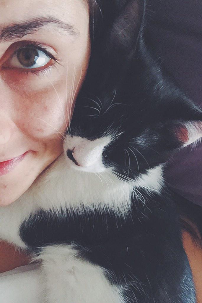 ChelseaHouseman's tweet photo. Nothin better #kittycuddle http://t.co/WPXNTWLJYX