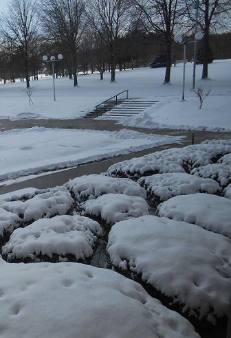 HVMLibrary's tweet image. We'll be dreaming of these days in August, right? #snowisoverrated #HVML #Saturdaysillies