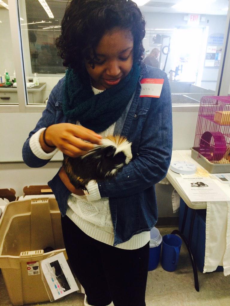 MayaCLowry's tweet image. Volunteering at Petco with the Wooster County Humane Society! I ❤️ this guinea pig! 😍 #etapi @allymarie93 @kbzboran