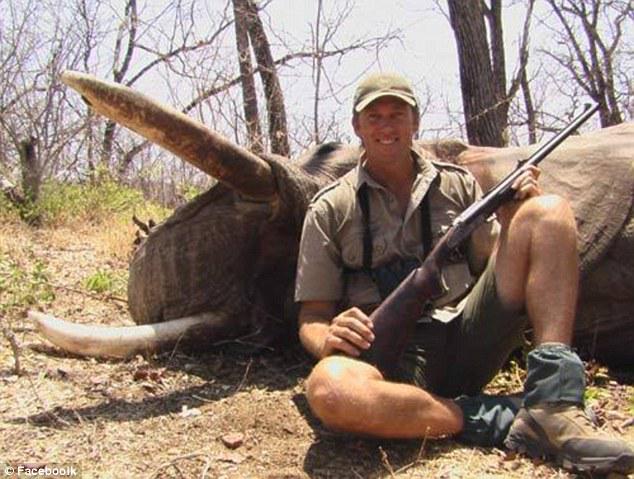 Global Sanctuary for Elephants tweet media