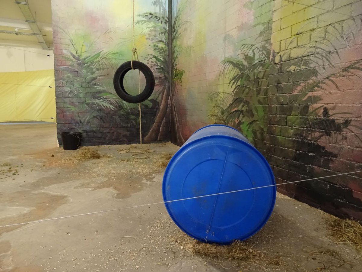 alaninbelfast's tweet image. #ReassembleForPurpose at @platformbelfast by @bitecatta @clolavelle @Helena_Hamilton &amp;amp; Rachel  alaninbelfast.blogspot.co.uk/2015/02/reasse…