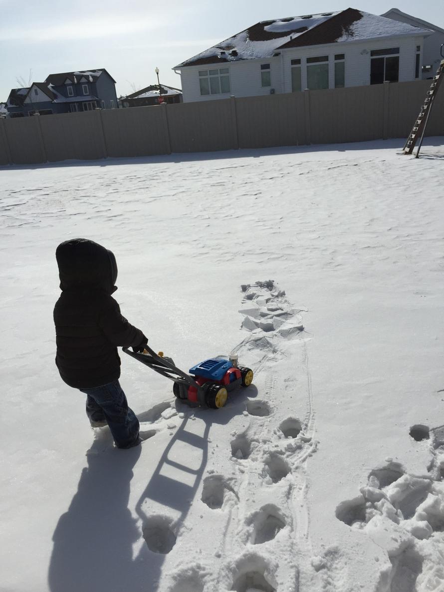 Eric_Stenehjem's tweet photo. At least he won't have to bag it! #summerhereyet? http://t.co/7bL7tq9sFW