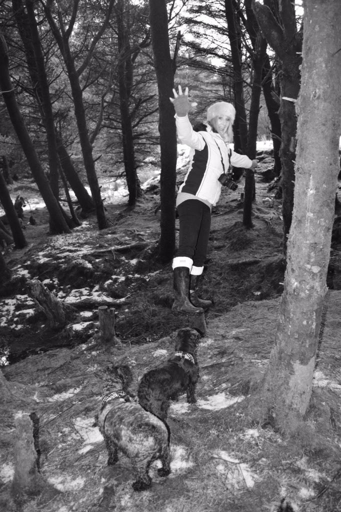 andreakjgreig's tweet image. Another busy day on #Skye! Two beach walks and a forest walk. And we found snow! #funfilledday Heading to the pub now