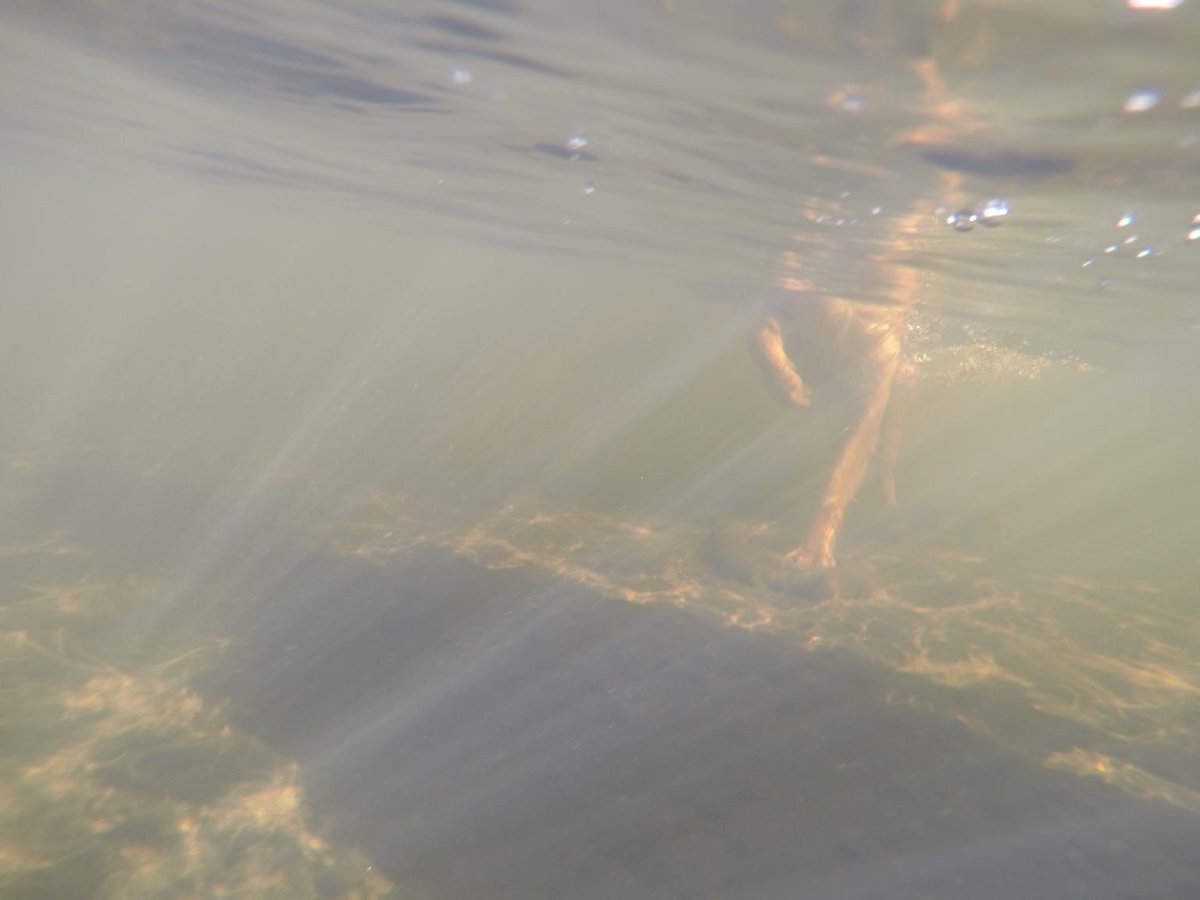 JanOnGrande's tweet image. @cruciallyK9 @MarkyDoggett Swimming with Bodie #GoProFail :-)