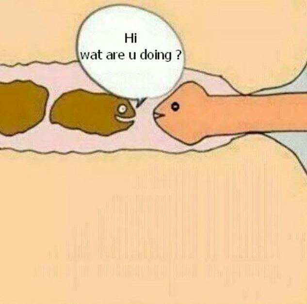 Teeeeheheheheheeee buttsex IS funny http://t.co/8khm4oIWYZ