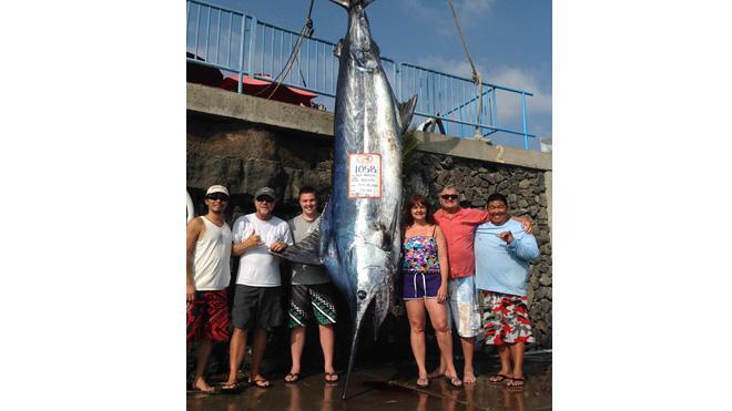 FoxNews's tweet image. Teen reels in 1,058-pound blue marlin off Hawaii (with video) fxn.ws/1LobqlV