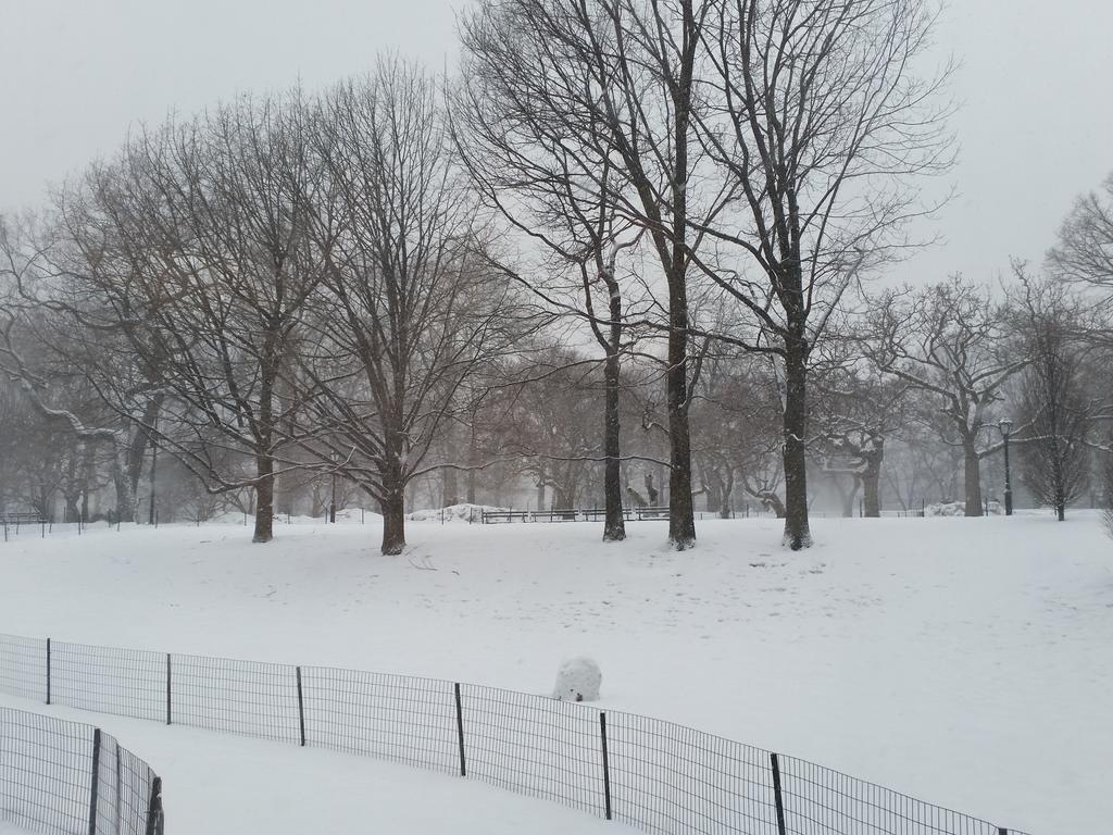 jacques_vw's tweet photo. Snow falls on Central Park http://t.co/wJK8Ux8fcC