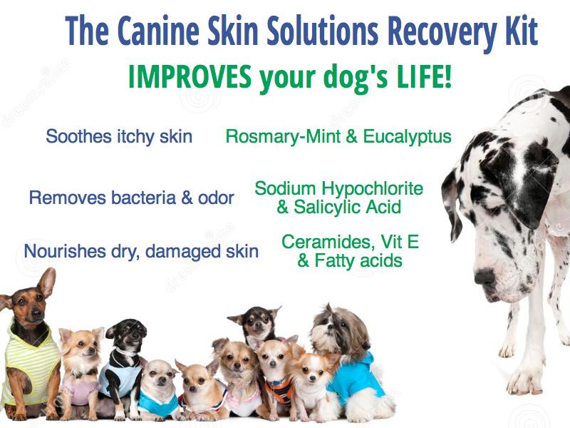 CanineSkin's tweet photo. Attn all dog lovers! #DogSkinProblems? Reliable Info for pet parents &amp; GREAT products @ http://t.co/cs5rf1pEgu http://t.co/s08AAR8WuI