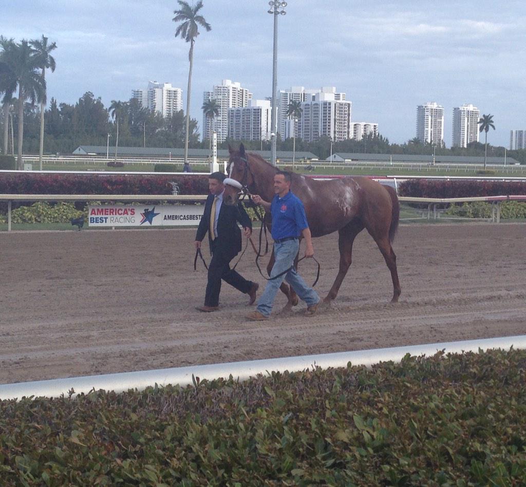 ggiombarrese's tweet image. The Champ. #mainsequence