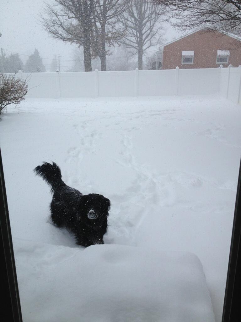 View image on Twitter View image on Twitter