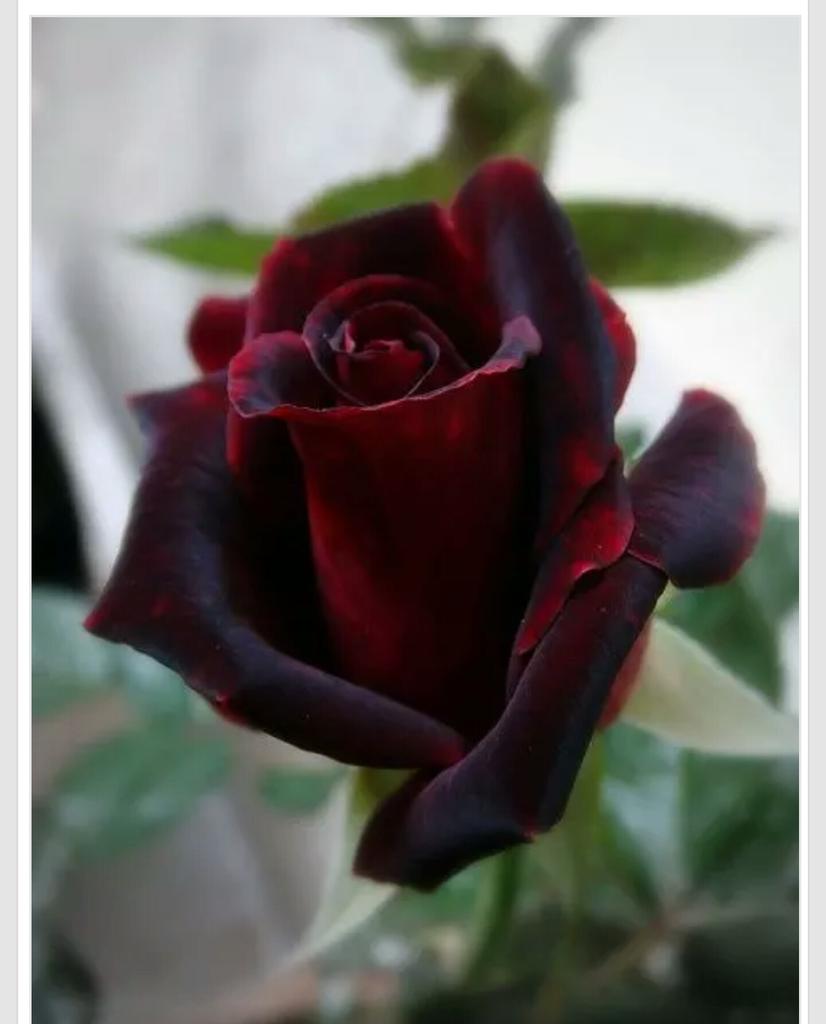 rtomar4you's tweet photo. http://t.co/2cdQQKN7l8