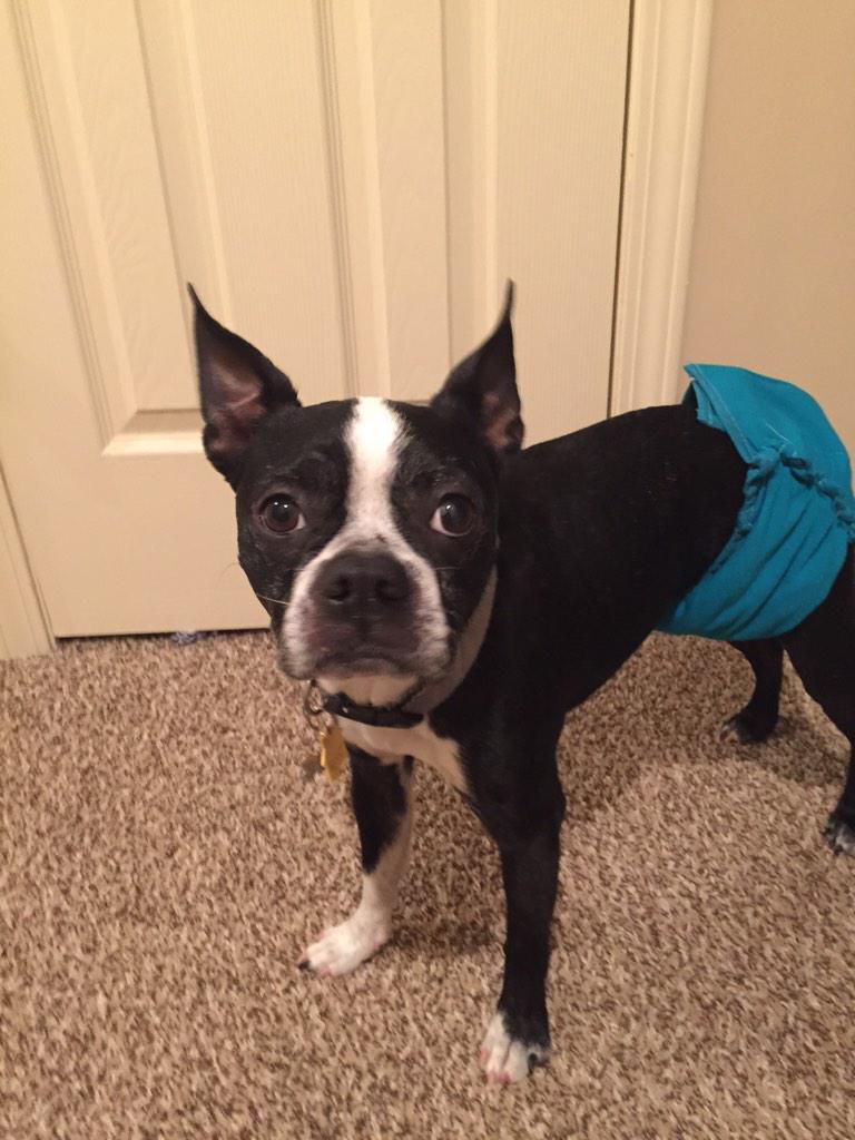 Buster Jack tweet media
