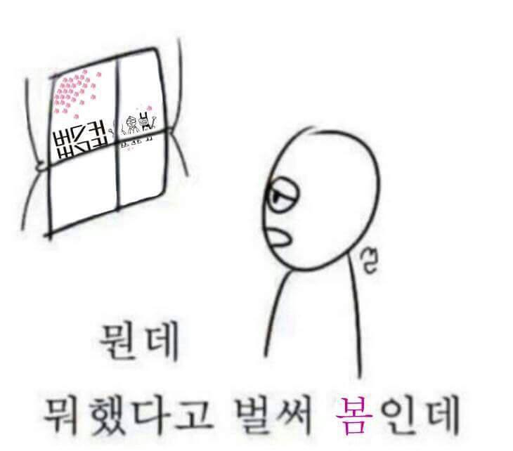 chanya_e's tweet photo. 봄이야아 http://t.co/doDkXzPsZZ