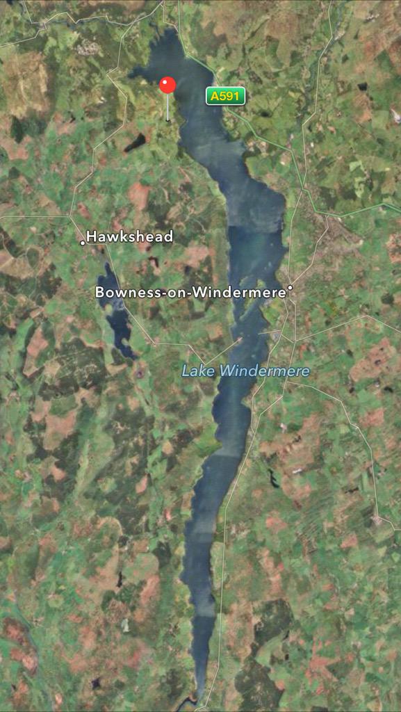 DavidPaintdw's tweet image. Another long pool session awaits. Slightly jaded after a few beers. #windermereoneway