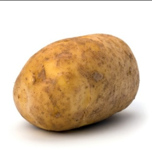Sparkstwitv2's tweet image. RT for this potato
Fav for Urban Rizky