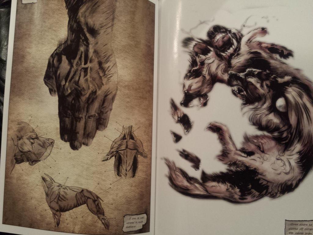 Embedded image permalink