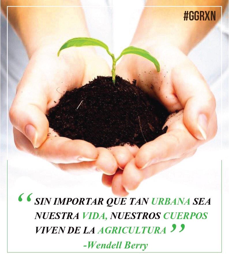 GGroxanaaguirre's tweet photo. Mañana en el Marco de la Celebración Día del Agrónomo, participaré con la comunidad de agrónomos #Oaxaca #SERMexicano http://t.co/Est1yFETeO