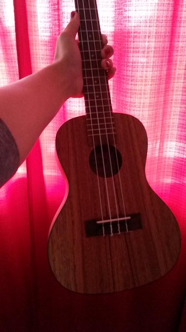New uke. After playing it a bit, I've decided that it is a lady uke. No name yet. :) http://t.co/e56