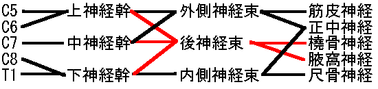 基礎医学のゴロ 知識大辞典さん の人気ツイート 7 Whotwi グラフィカルtwitter分析 基礎医学のゴロ 知識大辞典さん の人気ツイート 7 Whotwi グラフィカルtwitter分析