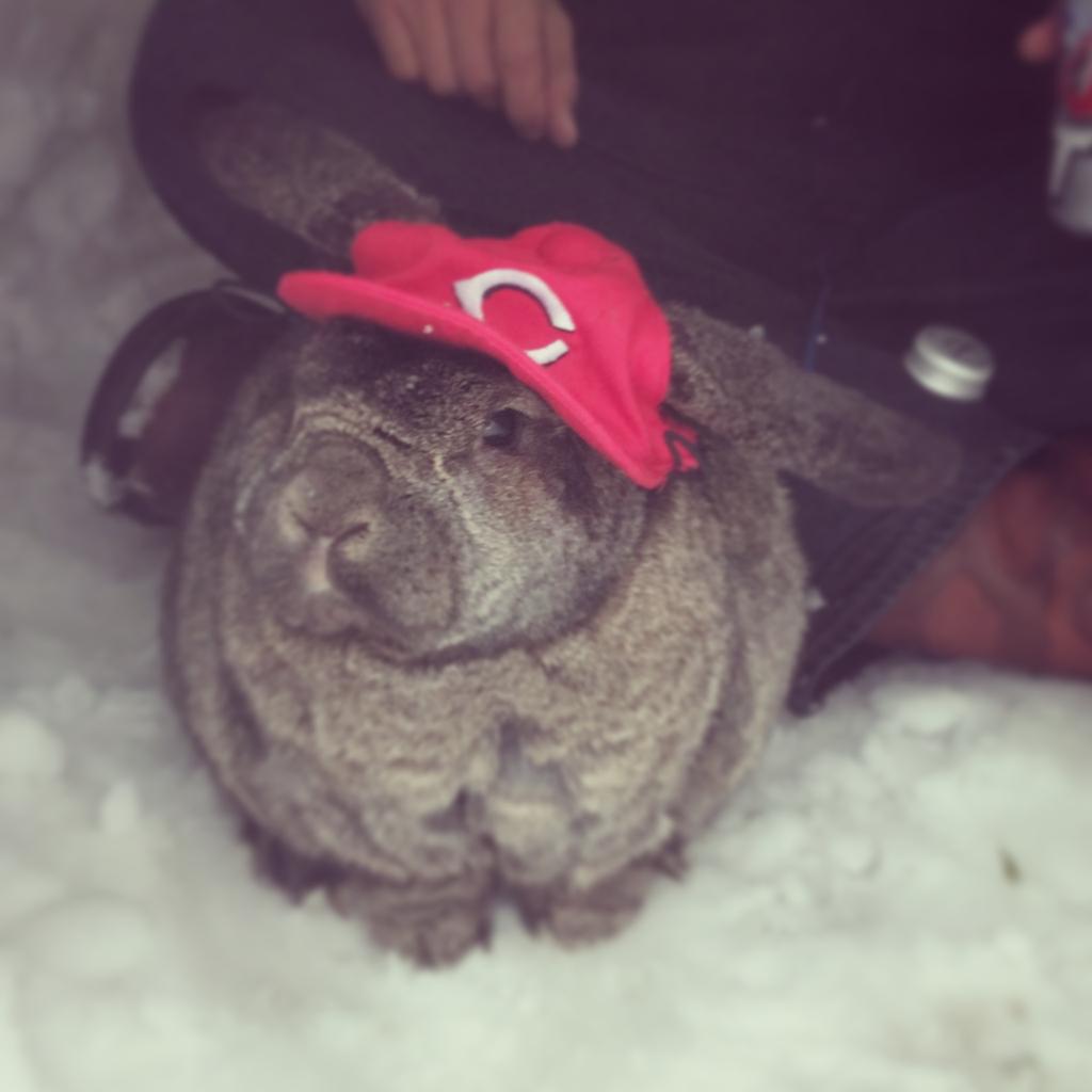 Put him in coach! "Bun-dan" Phillips done with the snow and ready for spring training! <a href="/Reds/">Cincinnati Reds</a> <a href="/MLBNetwork/">MLB Network</a> <a href="/DatDudeBP/">Brandon Phillips</a>
