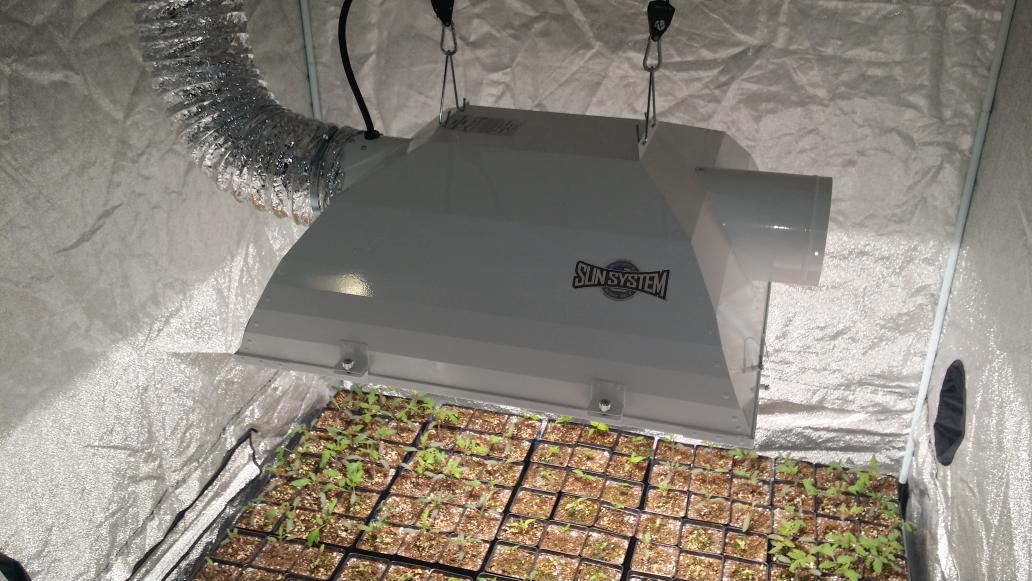 ThePepperGeek's tweet photo. @Sunlight_Supply 315w CMH light setup in a Blockbuster 6. Perfect combination that's crushing it for us. #peppergeek http://t.co/qqa9Zkl9YB