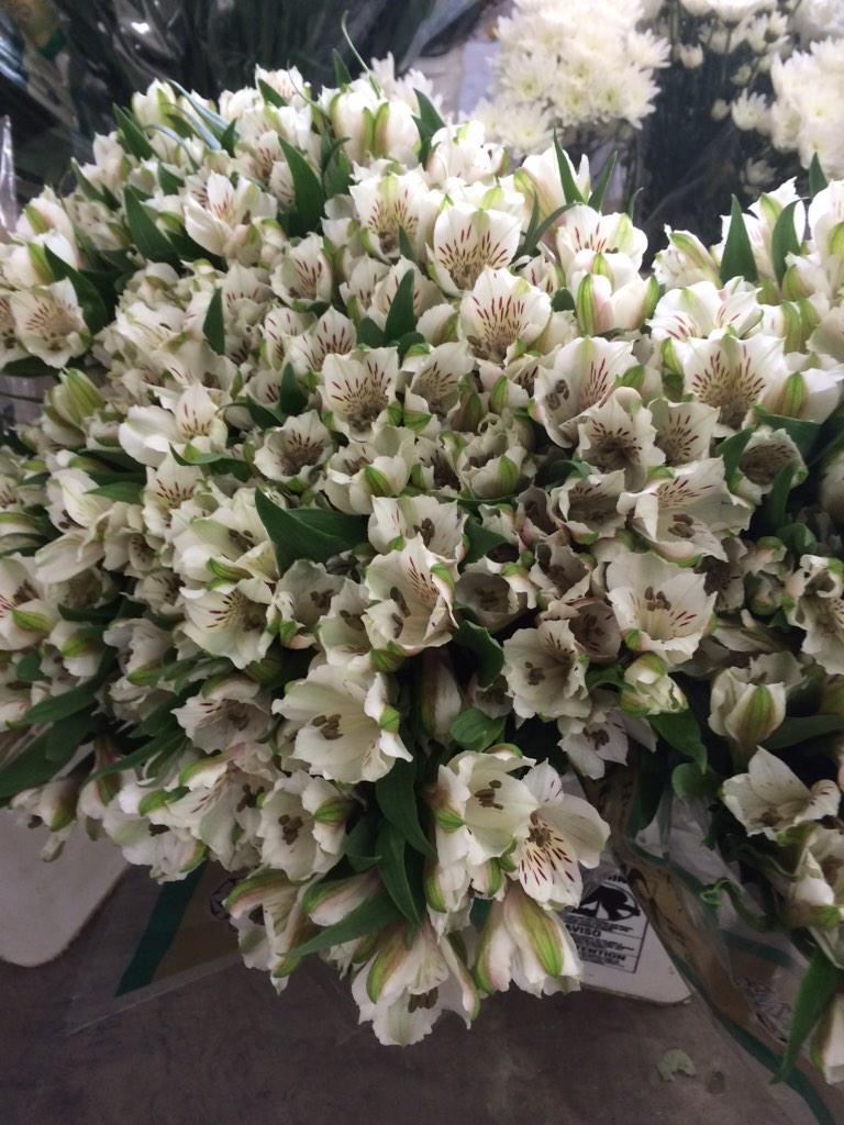 Michael Teeter (@TeeterMichael) | Twitter