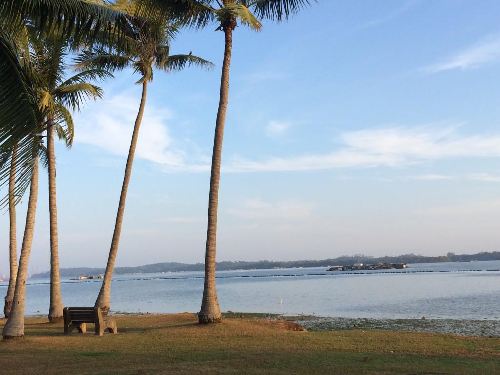 Meowie26's tweet photo. #iloveSG http://t.co/QEM79ni4OA