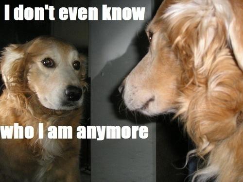 B-ad6YbIcAAYd6a.jpg:large