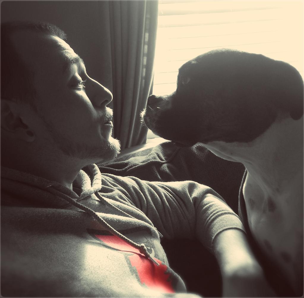 HereToGuide's tweet image. 