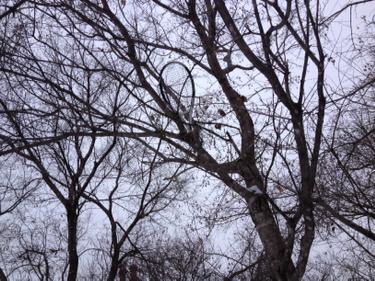 AndyAceBooks's tweet image. Where's Wilson?  Can you spot the hidden object?  It's a Minnesota thing.