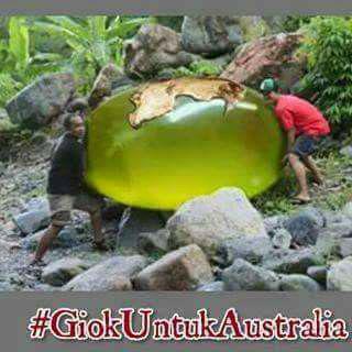 Giok untuk Australia  #KoinuntukAustralia