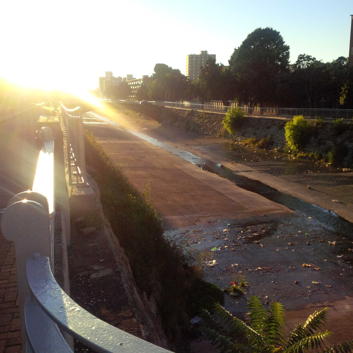 carienduplessis's tweet photo. This reminds me a little of the Seine. Just a little #helloBloem #loverunning http://t.co/uIQJNho5GO